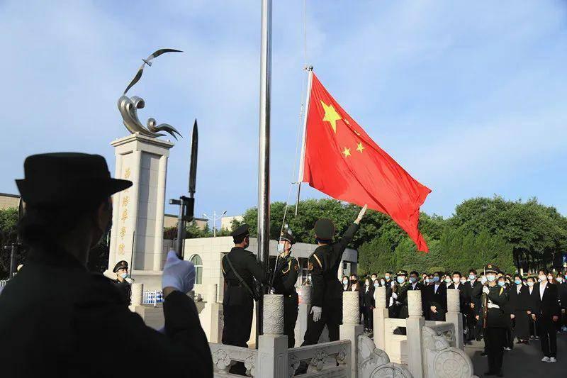 强大的狮子拼图